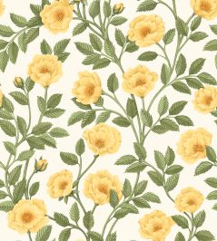 Hampton Roses Wallpaper by Cole & Son Marigold Hampton Roses Wallpaper by Cole & Son Marigold