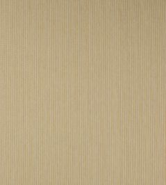 Hardy Stripe Fabric by Colefax and Fowler Gold Hardy Stripe Fabric by Colefax and Fowler Gold