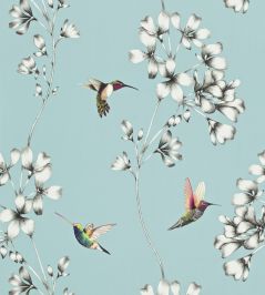 Amazilia Wallpaper by Harlequin Sky Amazilia Wallpaper by Harlequin Sky