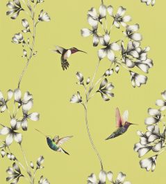 Amazilia Wallpaper by Harlequin Gooseberry Amazilia Wallpaper by Harlequin Gooseberry