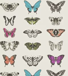 Papilio Wallpaper by Harlequin Flamingo/Papaya/Olive Papilio Wallpaper by Harlequin Flamingo/Papaya/Olive