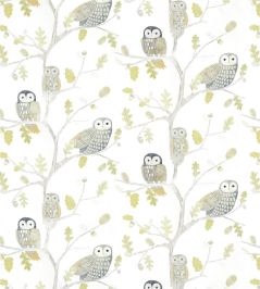 Little Owls Wallpaper by Harlequin Kiwi Little Owls Wallpaper by Harlequin Kiwi