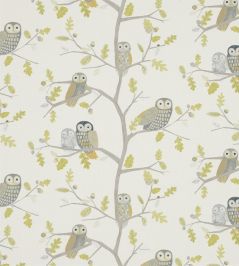 Little Owls Fabric by Harlequin Kiwi Little Owls Fabric by Harlequin Kiwi