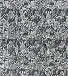 Nirmala Fabric by Harlequin Zebra Nirmala Fabric by Harlequin Zebra