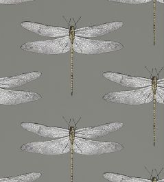 Demoiselle Wallpaper by Harlequin Graphite/Almond Demoiselle Wallpaper by Harlequin Graphite/Almond