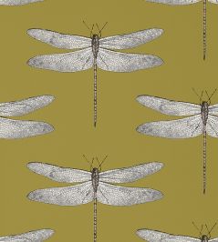 Demoiselle Wallpaper by Harlequin Ochre/Grape Demoiselle Wallpaper by Harlequin Ochre/Grape