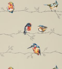 Persico Wallpaper by Harlequin Coral/Lemon Persico Wallpaper by Harlequin Coral/Lemon