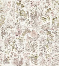 Herbaria Fabric by Osborne & Little Blush Herbaria Fabric by Osborne & Little Blush