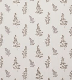 Herbarium Fabric by Clarke & Clarke Pebble Herbarium Fabric by Clarke & Clarke Pebble