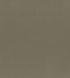 Highland Fabric by Lizzo Mushroom Highland Fabric by Lizzo Mushroom