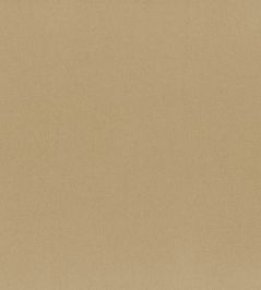 Highland Fabric by Lizzo Pampas Highland Fabric by Lizzo Pampas