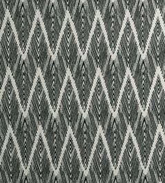 Holzer Fabric by Clarke & Clarke Noir Holzer Fabric by Clarke & Clarke Noir