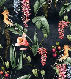 Hoopoe Garden Velvet Fabric by Avalana Charcoal Hoopoe Garden Velvet Fabric by Avalana Charcoal