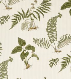 Hosta & Fern Fabric by Sanderson Olivine Hosta & Fern Fabric by Sanderson Olivine