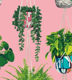 Houseplant Wallpaper by Ohpopsi Bubblegum Houseplant Wallpaper by Ohpopsi Bubblegum