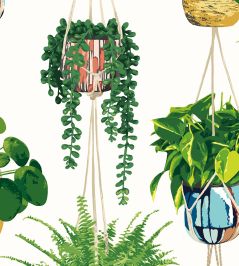 Houseplant Wallpaper by Ohpopsi Parakeet Houseplant Wallpaper by Ohpopsi Parakeet