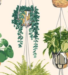 Houseplant Wallpaper by Ohpopsi Sage & Cider Houseplant Wallpaper by Ohpopsi Sage & Cider