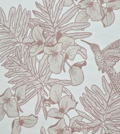 Hummingbird Wallpaper by 1838 Wallcoverings Beach Hummingbird Wallpaper by 1838 Wallcoverings Beach