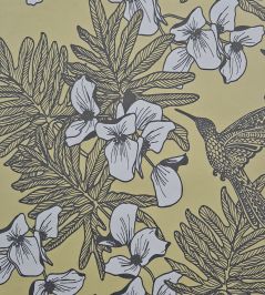 Hummingbird Wallpaper by 1838 Wallcoverings Mustard Hummingbird Wallpaper by 1838 Wallcoverings Mustard