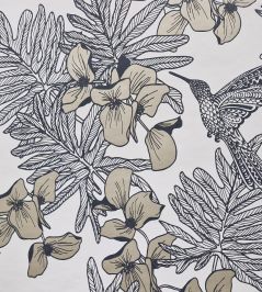 Hummingbird Wallpaper by 1838 Wallcoverings Jet Hummingbird Wallpaper by 1838 Wallcoverings Jet