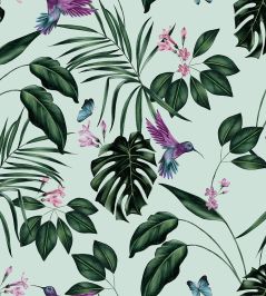 Hummingbird Wallpaper by Ohpopsi Duck Egg Hummingbird Wallpaper by Ohpopsi Duck Egg