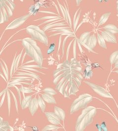Hummingbird Wallpaper by Ohpopsi Rosewood Hummingbird Wallpaper by Ohpopsi Rosewood