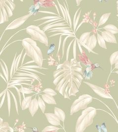 Hummingbird Wallpaper by Ohpopsi Sage Hummingbird Wallpaper by Ohpopsi Sage