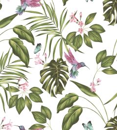 Hummingbird Wallpaper by Ohpopsi Wilderness White Hummingbird Wallpaper by Ohpopsi Wilderness White