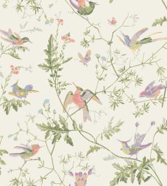 Hummingbirds Wallpaper by Cole & Son Soft Multi, Olive Green on White Hummingbirds Wallpaper by Cole & Son Soft Multi, Olive Green on White