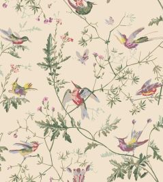 Hummingbirds Wallpaper by Cole & Son Classic Multi & Old Olive on Cream Hummingbirds Wallpaper by Cole & Son Classic Multi & Old Olive on Cream