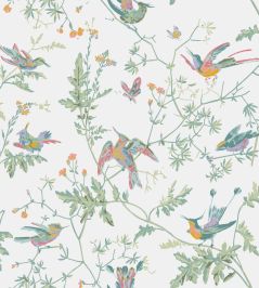 Hummingbirds Wallpaper by Cole & Son Pastel Hummingbirds Wallpaper by Cole & Son Pastel