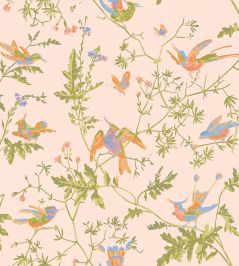 Hummingbirds Wallpaper by Cole & Son Tangerine & Olive on Blush Hummingbirds Wallpaper by Cole & Son Tangerine & Olive on Blush
