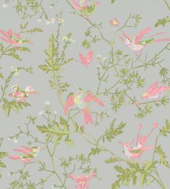 Hummingbirds Wallpaper by Cole & Son Rose & Olive on Grey Hummingbirds Wallpaper by Cole & Son Rose & Olive on Grey