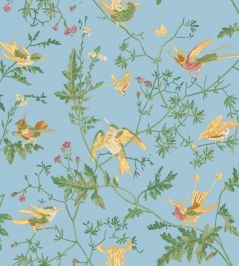 Hummingbirds Cotton Fabric by Cole & Son Buttercup Yellow on Cornflower Blue Hummingbirds Cotton Fabric by Cole & Son Buttercup Yellow on Cornflower Blue