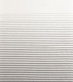 Hupa Fabric by Camengo Carbone Hupa Fabric by Camengo Carbone