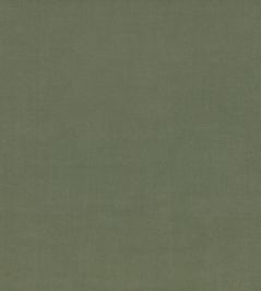 Ice II Fabric by Kirkby Design Avocado Ice II Fabric by Kirkby Design Avocado