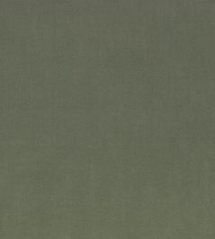 Ice II Fabric by Kirkby Design Eucalyptus Ice II Fabric by Kirkby Design Eucalyptus