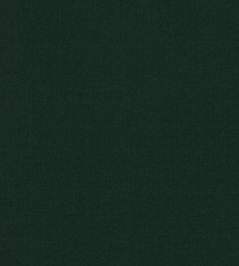 Ice II Fabric by Kirkby Design Evergreen Ice II Fabric by Kirkby Design Evergreen