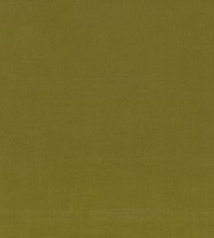 Ice II Fabric by Kirkby Design Fern Ice II Fabric by Kirkby Design Fern