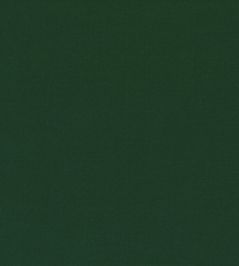 Ice II Fabric by Kirkby Design Forest Ice II Fabric by Kirkby Design Forest