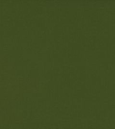 Ice II Fabric by Kirkby Design Olive Ice II Fabric by Kirkby Design Olive