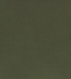 Ice II Fabric by Kirkby Design Pine Green Ice II Fabric by Kirkby Design Pine Green