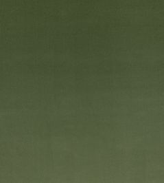 Ice II Fabric by Kirkby Design Spring Green Ice II Fabric by Kirkby Design Spring Green