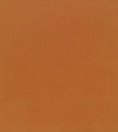 Ice II Fabric by Kirkby Design Tangerine Ice II Fabric by Kirkby Design Tangerine