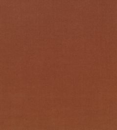 Ice II Fabric by Kirkby Design Terracotta Ice II Fabric by Kirkby Design Terracotta