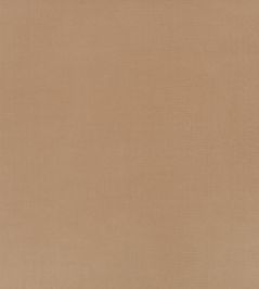 Ice II Fabric by Kirkby Design Truffle Ice II Fabric by Kirkby Design Truffle