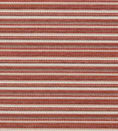 Integer Fabric by Clarke & Clarke Spice Integer Fabric by Clarke & Clarke Spice