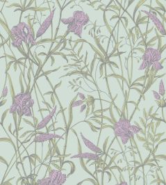 Iris Wallpaper by Cole & Son Lavender on Duck Egg Iris Wallpaper by Cole & Son Lavender on Duck Egg