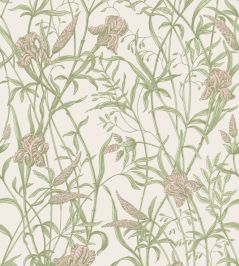 Iris Wallpaper by Cole & Son Soft Coral on Chalk Iris Wallpaper by Cole & Son Soft Coral on Chalk