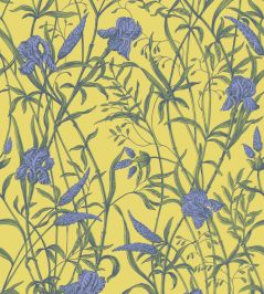 Iris Wallpaper by Cole & Son Violet on Citrine Iris Wallpaper by Cole & Son Violet on Citrine